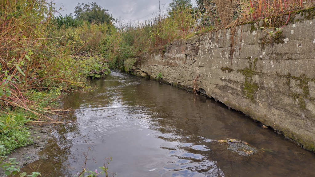 Photo of the Mill wall